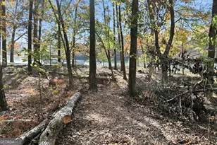 3610 Schofield Rd, Gainesville, GA 30506 - Photo 31