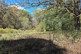 5548 Jacksonville Rd, Buchanan, GA 30113 - Photo 27