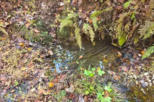 5548 Jacksonville Rd, Buchanan, GA 30113 - Photo 21