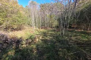 5548 Jacksonville Rd, Buchanan, GA 30113 - Photo 29