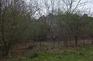 5548 Jacksonville Rd, Buchanan, GA 30113 - Photo 19