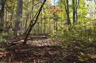 5548 Jacksonville Rd, Buchanan, GA 30113 - Photo 25