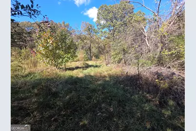 5548 Jacksonville Road, Buchanan, GA 30113 - Photo 33