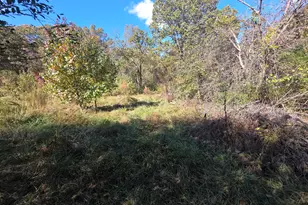 5548 Jacksonville Rd, Buchanan, GA 30113 - Photo 33