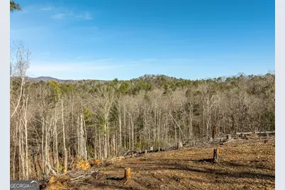 Lot 32R Woodring Branch Road, Ellijay, GA 30540 - Photo 5