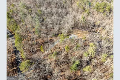 Lot 32R Woodring Branch Road, Ellijay, GA 30540 - Photo 33