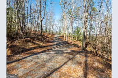 Lot 32R Woodring Branch Road, Ellijay, GA 30540 - Photo 19