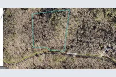 Lot 32R Woodring Branch Road, Ellijay, GA 30540 - Photo 11