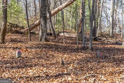 Lot 32R Woodring Branch Road, Ellijay, GA 30540 - Photo 13