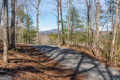 Lot 32R Woodring Branch Road, Ellijay, GA 30540 - Photo 3