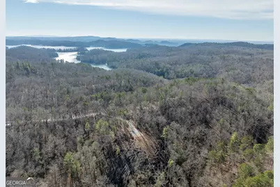 Lot 32R Woodring Branch Road, Ellijay, GA 30540 - Photo 31