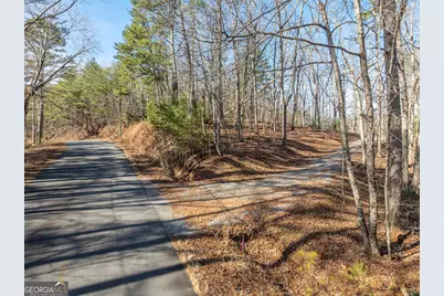 Lot 32R Woodring Branch Road, Ellijay, GA 30540 - Photo 35