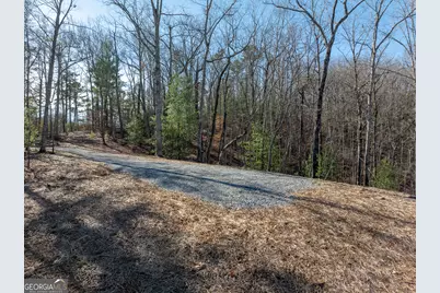 Lot 32R Woodring Branch Road, Ellijay, GA 30540 - Photo 7
