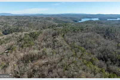 Lot 32R Woodring Branch Road, Ellijay, GA 30540 - Photo 27