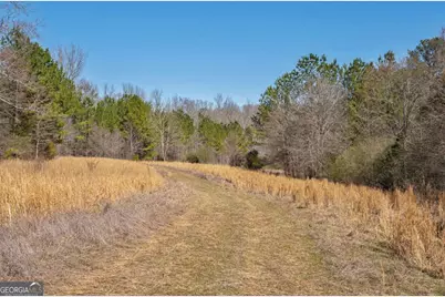 0 Kent Rock Road, Loganville, GA 30052 - Photo 13