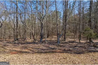 0 Kent Rock Road, Loganville, GA 30052 - Photo 11