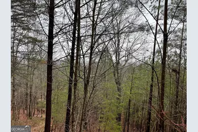 26 Sunset View, Blairsville, GA 30512 - Photo 17