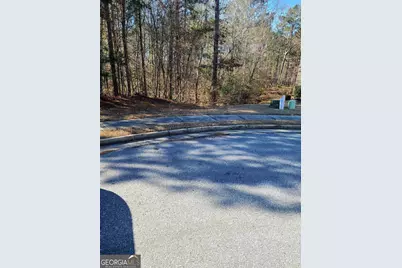 1385 Pebble Ridge Drive, Hampton, GA 30228 - Photo 3