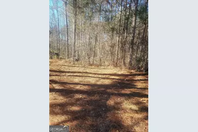 1385 Pebble Ridge Drive, Hampton, GA 30228 - Photo 1