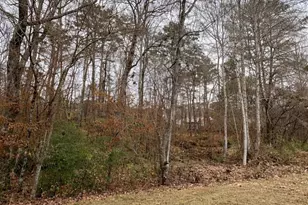 6135 Stone Creek Ln, Rex, GA 30273 - Photo 21