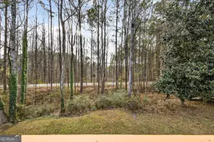 4420 Pink Rose Ct, Austell, GA 30106 - Photo 51