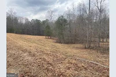 0 Whiteside Road, Chattahoochee Hills, GA 30268 - Photo 3