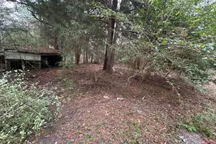 4948 Ga Hwy 125 N, Tifton, GA 31794 - Photo 9