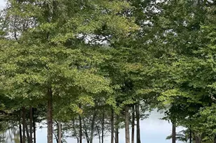 407 St Regis Dr, Oxford, GA 30054 - Photo 67