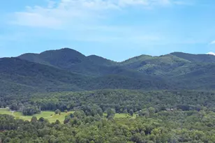 161 Old Dial Rd, Morganton, GA 30560 - Photo 7