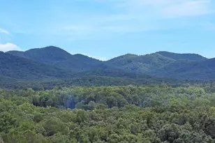 161 Old Dial Rd, Morganton, GA 30560 - Photo 5