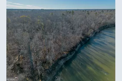 0 Oconee River, Bells Ferry Highway, Lumber City, GA 31549 - Photo 15
