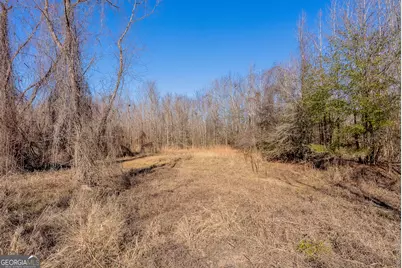 0 Oconee River, Bells Ferry Highway, Lumber City, GA 31549 - Photo 27