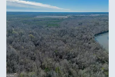 0 Oconee River, Bells Ferry Highway, Lumber City, GA 31549 - Photo 5