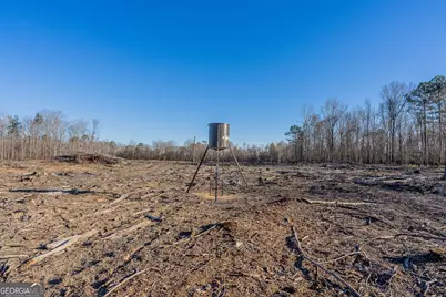 0 Oconee River, Bells Ferry Highway, Lumber City, GA 31549 - Photo 43