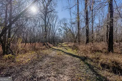 0 Oconee River, Bells Ferry Highway, Lumber City, GA 31549 - Photo 35