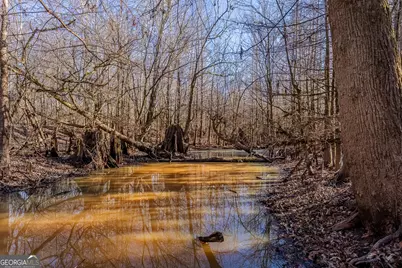 0 Oconee River, Bells Ferry Highway, Lumber City, GA 31549 - Photo 31