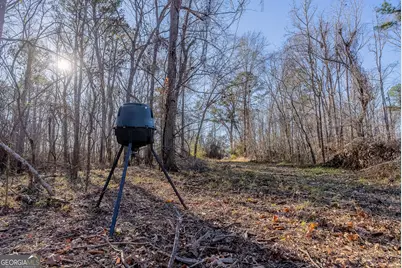 0 Oconee River, Bells Ferry Highway, Lumber City, GA 31549 - Photo 39