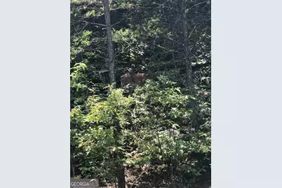 0 Orchard Hills Drive #LOT 33, Clarkesville, GA 30523 - Photo 7