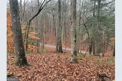 2055 Star Creek Road, Morganton, GA 30560 - Photo 37