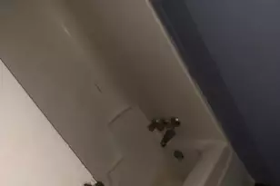 5897 Leone Dr W, Macon, GA 31206 - Photo 15