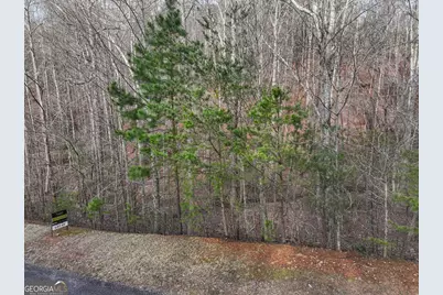 49 Old Stamp Mill Road, Dahlonega, GA 30533 - Photo 5