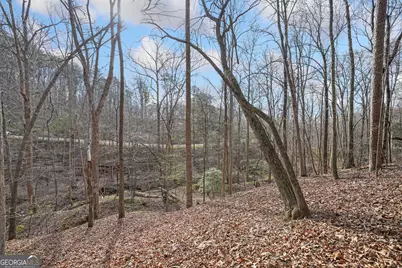 49 Old Stamp Mill Road, Dahlonega, GA 30533 - Photo 13