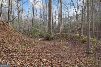 49 Old Stamp Mill Road, Dahlonega, GA 30533 - Photo 7