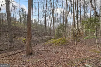49 Old Stamp Mill Road, Dahlonega, GA 30533 - Photo 11