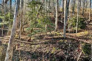 50 Old Stamp Mill Rd, Dahlonega, GA 30533 - Photo 1