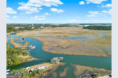 2724 Livingston Avenue, Savannah, GA 31406 - Photo 43