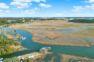 2724 Livingston Ave, Savannah, GA 31406 - Photo 43