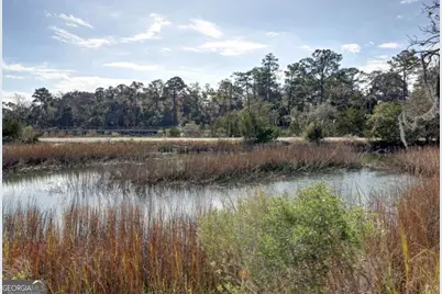 2724 Livingston Avenue, Savannah, GA 31406 - Photo 83