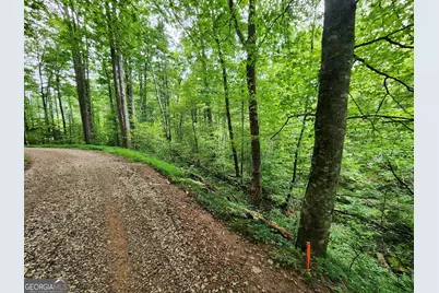Tract 2B Poplar Cove Trail, Suches, GA 30572 - Photo 1