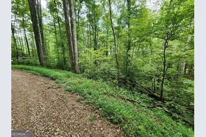Tract 2A Poplar Cove Trail, Suches, GA 30572 - Photo 13